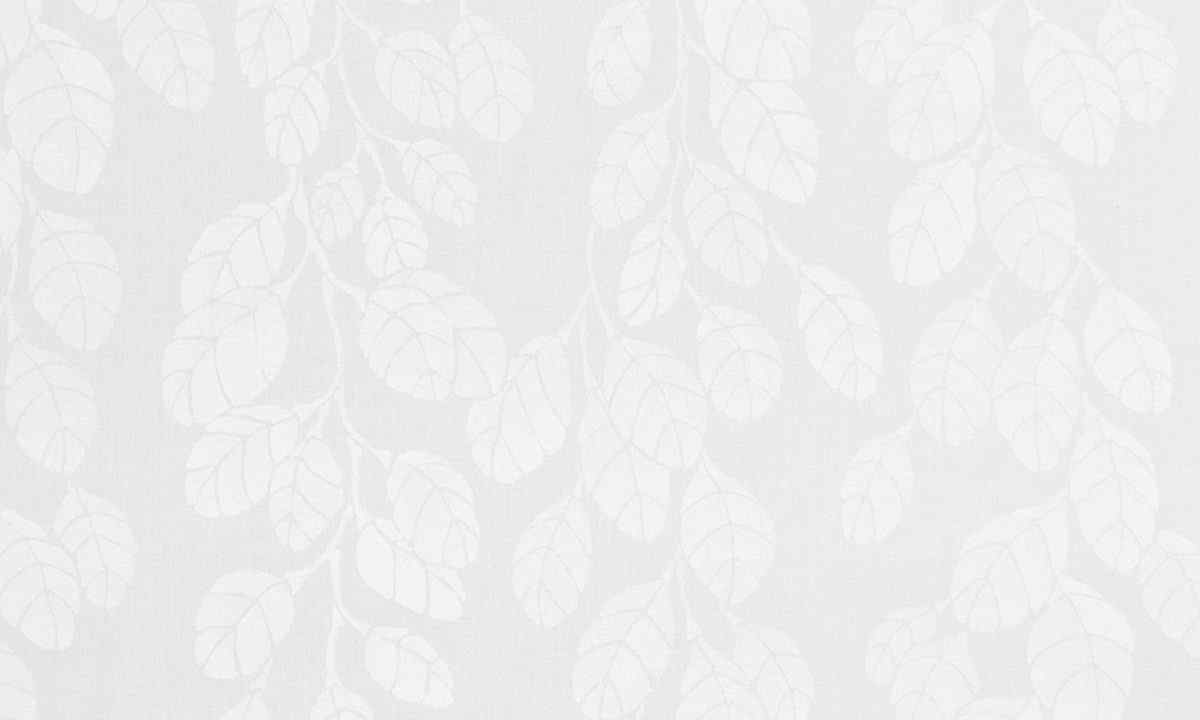 EMMA VON BRÖMSSEN BOK 15/15 - Prisgrupp 1